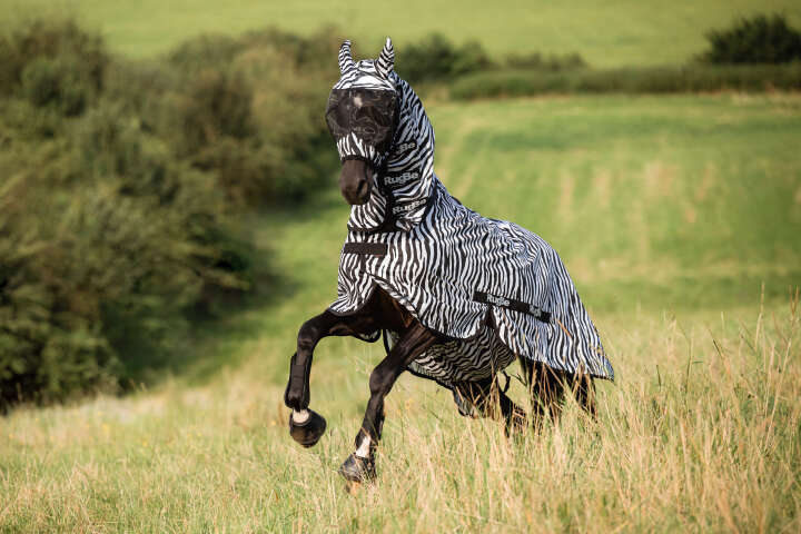 Covalliero Fliegendecke RugBe Zebra mit Halsteil